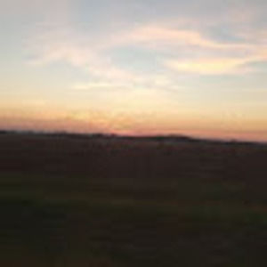 Meet your Posher, Ayla